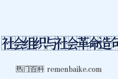 社会组织与社会革命造句是什么意思的图片